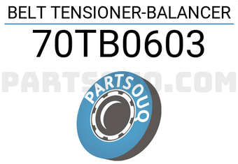 NTN 70TB0603 BELT TENSIONER-BALANCER