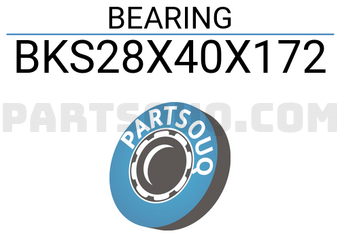 NTN BKS28X40X172 BEARING
