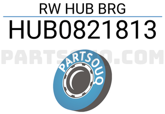 NTN HUB0821813 RW HUB BRG