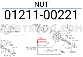 Nissan 0121100221 NUT