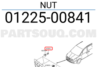 Nissan 0122500841 NUT