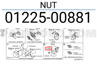 Nissan 0122500881 NUT