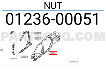 Nissan 0123600051 NUT