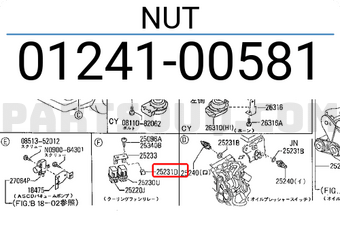 Nissan 0124100581 NUT