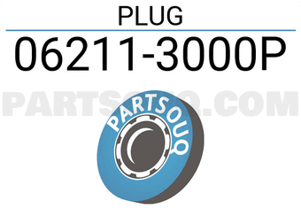 Nissan 062113000P PLUG