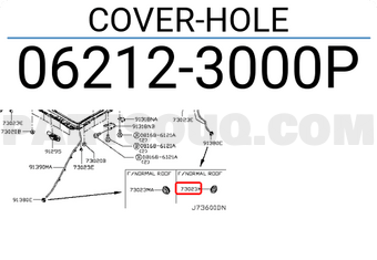 Nissan 062123000P COVER-HOLE