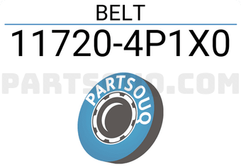 Nissan 117204P1X0 BELT