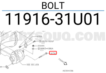 Nissan 1191631U01 BOLT