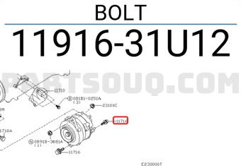 Nissan 1191631U12 BOLT