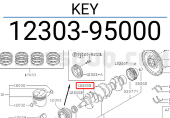 Nissan 1230395000 KEY