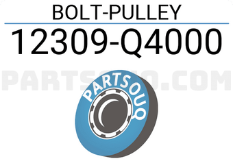 Nissan 12309Q4000 BOLT-PULLEY