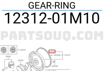 Nissan 1231201M10 GEAR-RING