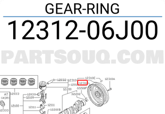 Nissan 1231206J00 GEAR-RING