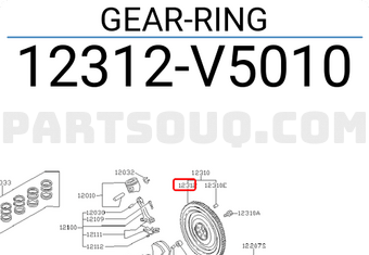 Nissan 12312V5010 GEAR-RING