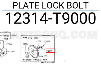 Nissan 12314T9000 PLATE LOCK BOLT