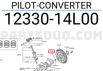 Nissan 1233014L00 PILOT-CONVERTER