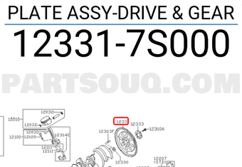 Nissan 123317S000 PLATE ASSY-DRIVE & GEAR