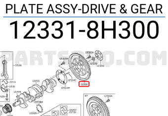 Nissan 123318H300 PLATE ASSY-DRIVE & GEAR