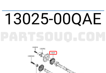 Nissan 1302500QAE 