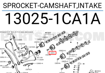 Nissan 130251CA1A SPROCKET-CAMSHAFT,INTAKE