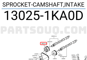 Nissan 130251KA0D SPROCKET-CAMSHAFT,INTAKE