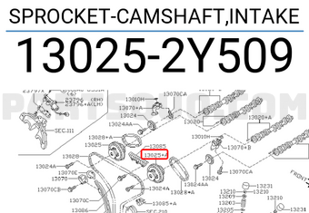 Nissan 130252Y509 SPROCKET-CAMSHAFT,INTAKE
