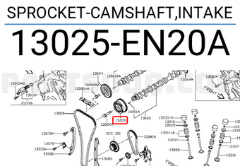 Nissan 13025EN20A SPROCKET-CAMSHAFT,INTAKE