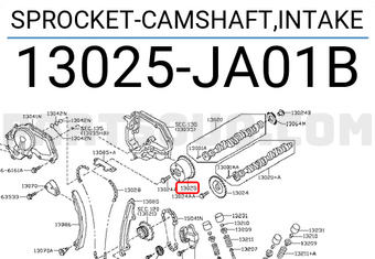 Nissan 13025JA01B SPROCKET-CAMSHAFT,INTAKE