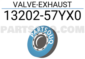 Nissan 1320257YX0 VALVE-EXHAUST