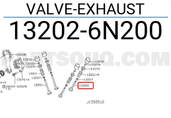Nissan 132026N200 VALVE-EXHAUST