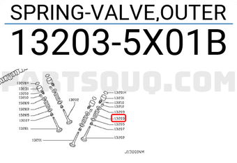 Nissan 132035X01B SPRING-VALVE,OUTER