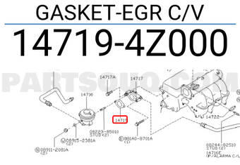 Nissan 147194Z000 GASKET-EGR C/V