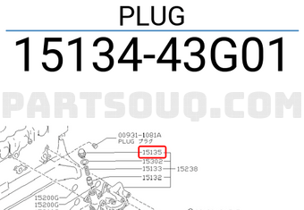 Nissan 1513443G01 PLUG