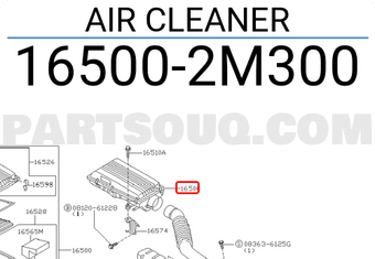 Nissan 165002M300 AIR CLEANER