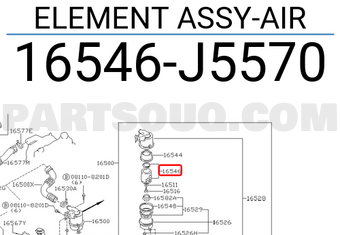 Nissan 16546J5570 ELEMENT ASSY-AIR