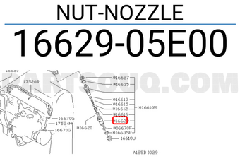 Nissan 1662905E00 NUT-NOZZLE