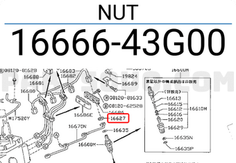 Nissan 1666643G00 NUT