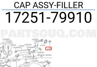 Nissan 1725179910 CAP ASSY-FILLER