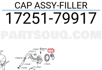 Nissan 1725179917 CAP ASSY-FILLER