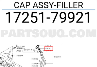 Nissan 1725179921 CAP ASSY-FILLER