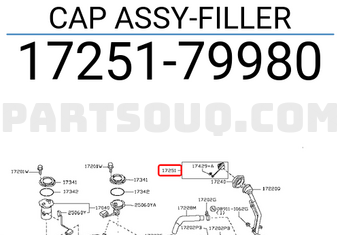 Nissan 1725179980 CAP ASSY-FILLER