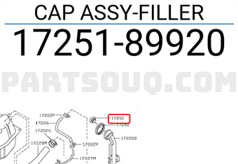 Nissan 1725189920 CAP ASSY-FILLER