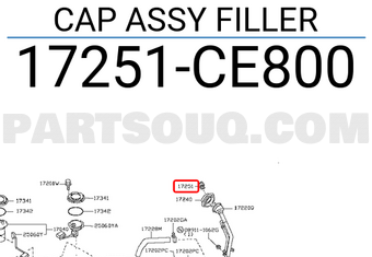 Nissan 17251CE800 CAP ASSY FILLER