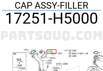 Nissan 17251H5000 CAP ASSY-FILLER