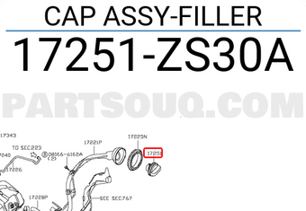 Nissan 17251ZS30A CAP ASSY-FILLER
