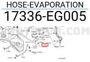 Nissan 17336EG005 HOSE-EVAPORATION