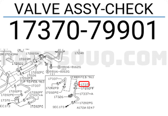Nissan 1737079901 VALVE ASSY-CHECK