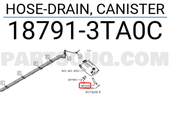 Nissan 187913TA0C HOSE-DRAIN, CANISTER