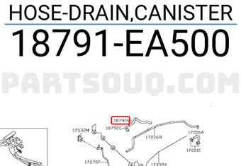 Nissan 18791EA500 HOSE-DRAIN,CANISTER