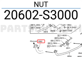 Nissan 20602S3000 NUT